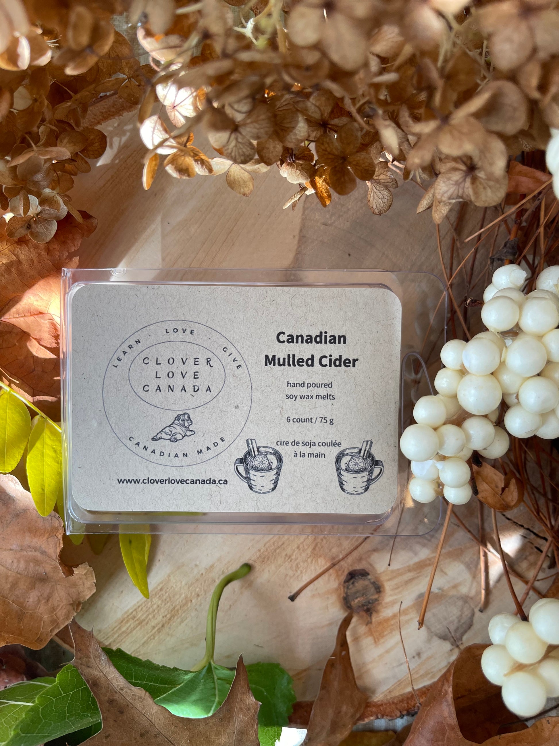 Canadian Mulled Cider Hand Poured Soy Scented Wax Melts 6 pack