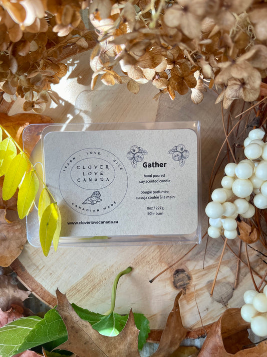 Hand poured soy wax melts in fragrance Gather