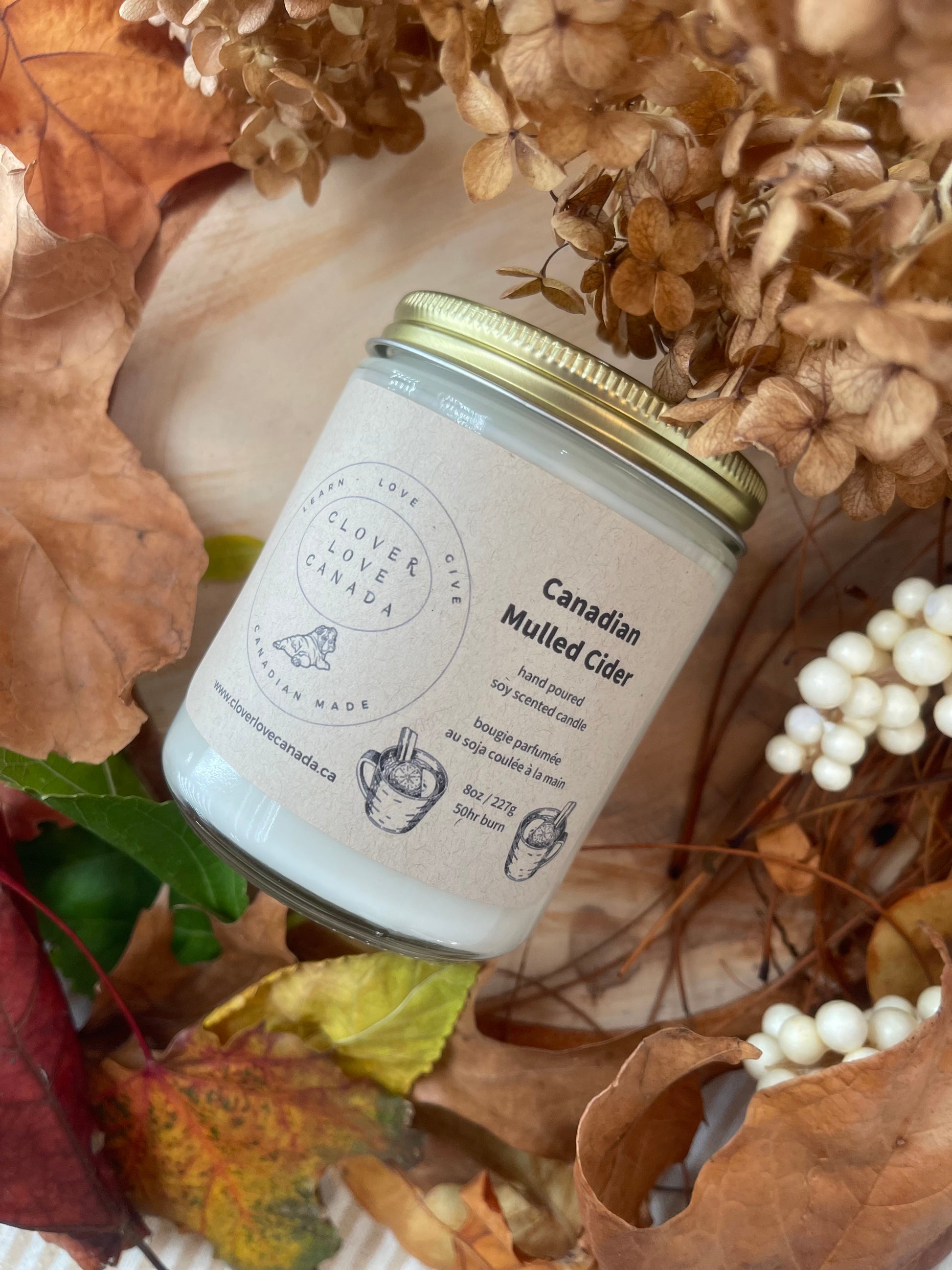 Canadian Mulled Cider hand poured soy scented candle 8 oz